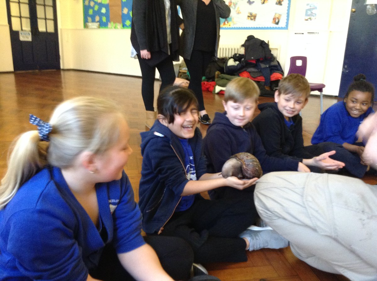 Launcelot Primary tweet media