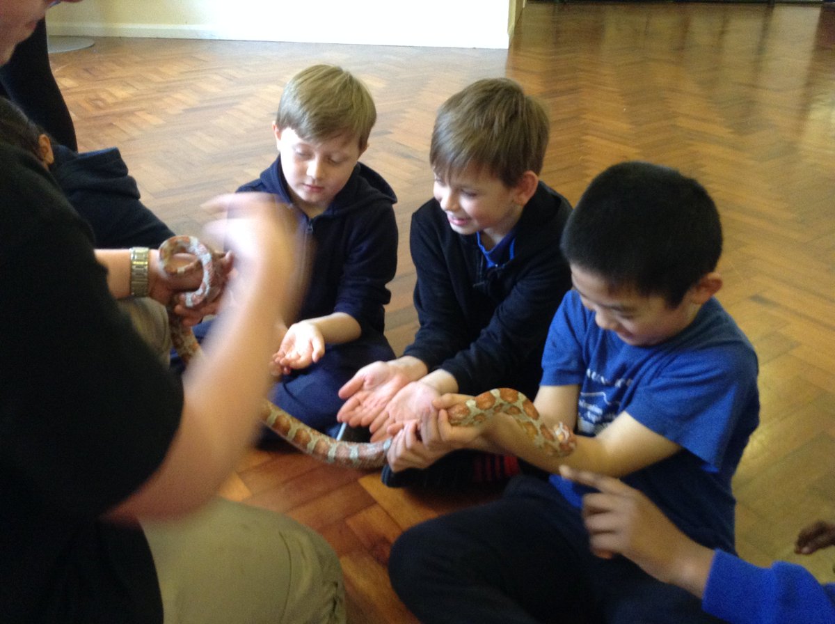 Launcelot Primary tweet media