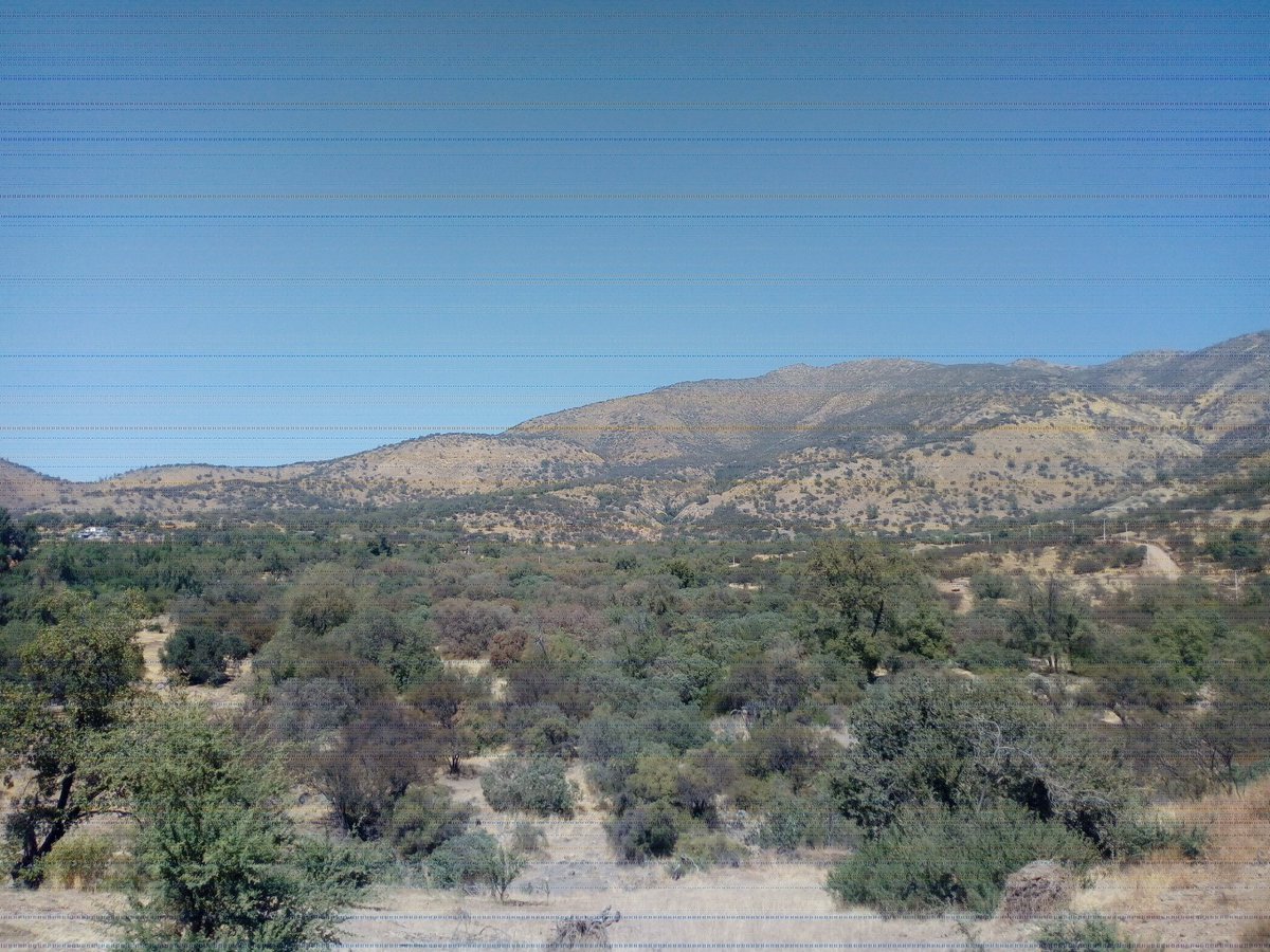mustapipa's tweet photo. Day 9 #ScienceInChile.
Hiking in the arid hills of Pirque was refreshing despite of the heat and direct sunshine (and mountain lions were absent).
My camera is producing poorer photos but they do give an idea what the landscape is like. https://t.co/dy7X72YPt8