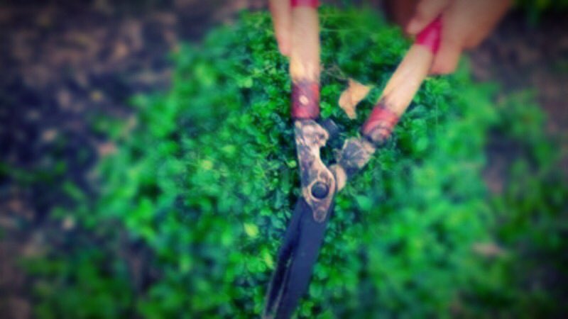 With Spring around the corner it’s time to dig out your gardening tools for sharpening &amp; repair. Drop them off at <a href="/CookshopNewport/">Cookshop Newport</a>