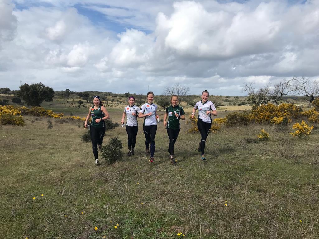 Sari Anttonen tweet media