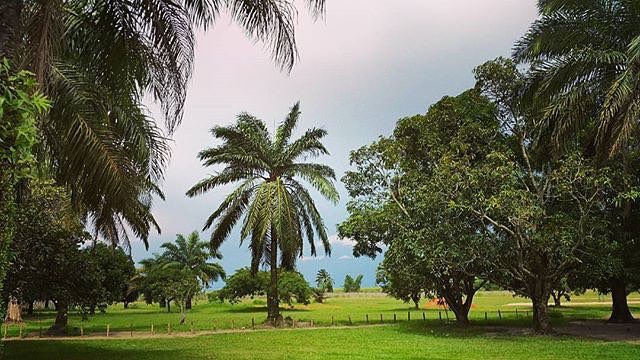 Nganda Yala, Nsele, Rd Congo. Excellent début de semaine à vous. # ...