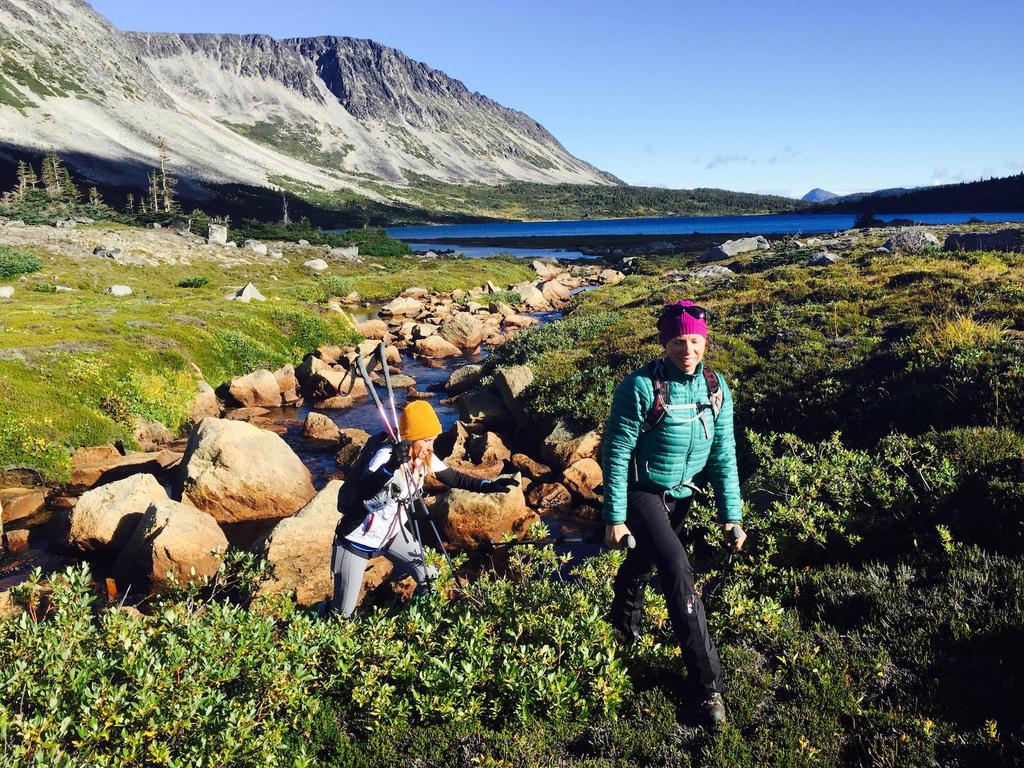 YohoAdventures's tweet image. Hiking In The Wilds — A Unique Canadian Hiking Vacation goo.gl/88mC8f #Canada #Blog #Alpinehiking #BritishColumbiabackcountry #GuidedHikingTripsCanada #HikingToursBritishColumbia #BritishColumbia #CanadiaHiking #HikingToursCanada