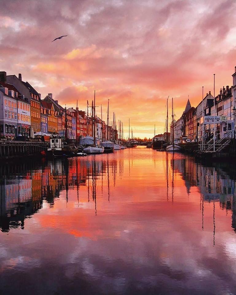 PaoloRuwenzori's tweet photo. Nyhavn Canal, Copenhagen, Denmark
#nyhavn #nyhavncanal #Copenhagen #denmark #scandinavia #instadenmark #travelgram #travelblog #instapics #instalike
📷 @bonvoyageceline https://t.co/mGt4jIVi2i