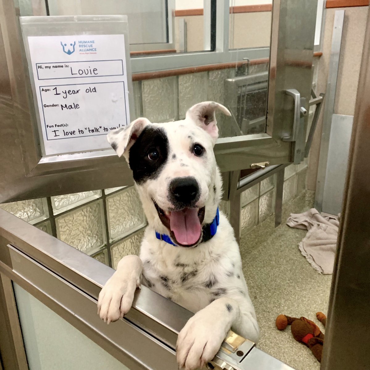 duck house heirloom dolls indian