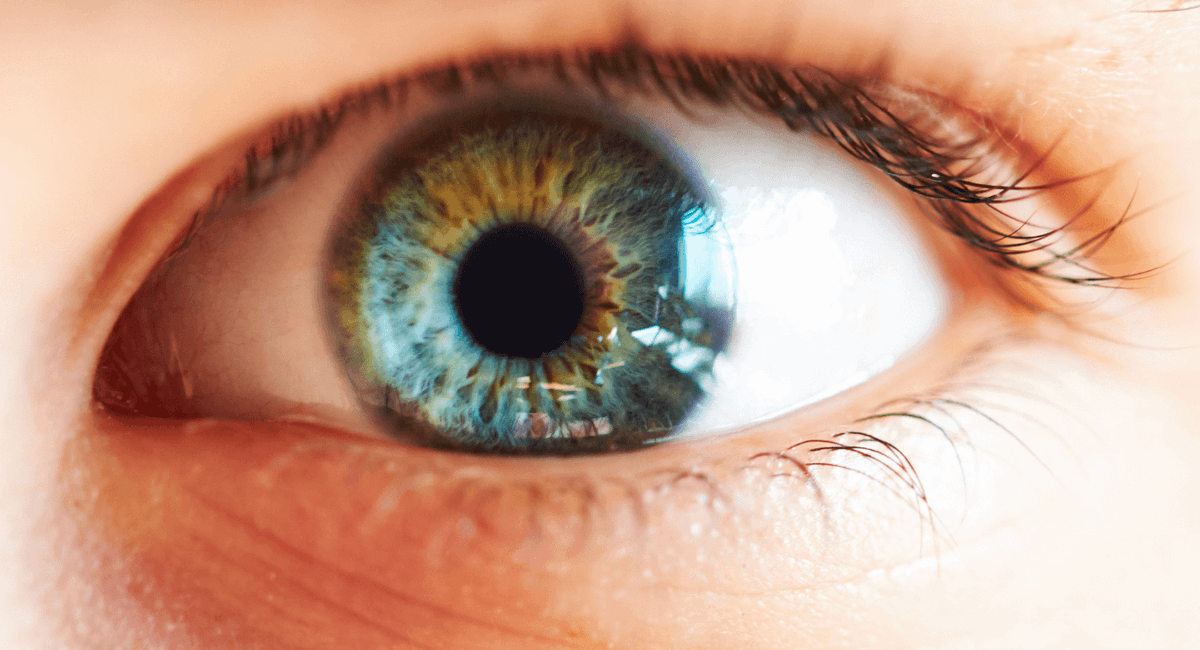 #Bioengineering Assistant Professor Giuliano Scarcelli (@scarc1) &amp; members of his #Optics #Biotech lab have developed a microscopy technique that could one day be used to improve LASIK and eliminate the “surgery” aspect of the procedure: bioe.umd.edu/news/story/new…