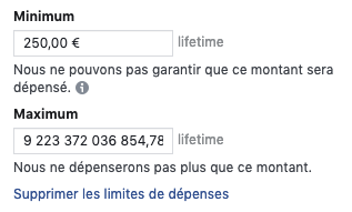 ericniakissa's tweet photo. Voilà ce qu'il se passe lorsque l'on gère Facebook gérer automatiquement son budget maxi ;-)
1er montant : saisi manuellement
2ème montant : généré automatiquement par FB Ads
À noter, la précision à 2 décimales ^^ https://t.co/eVG3kMDdTP