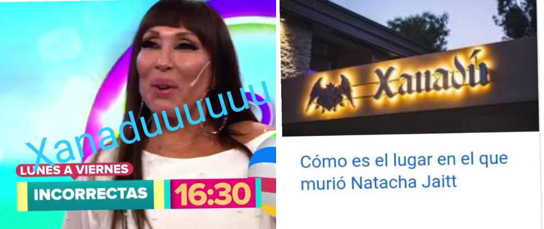 milamarsetti's tweet photo. Insisto: El spot de verano de America nos quería decir algo. @Moria_Casan @eltreceoficial @AngeldebritoOk https://t.co/5F8cic4ecf