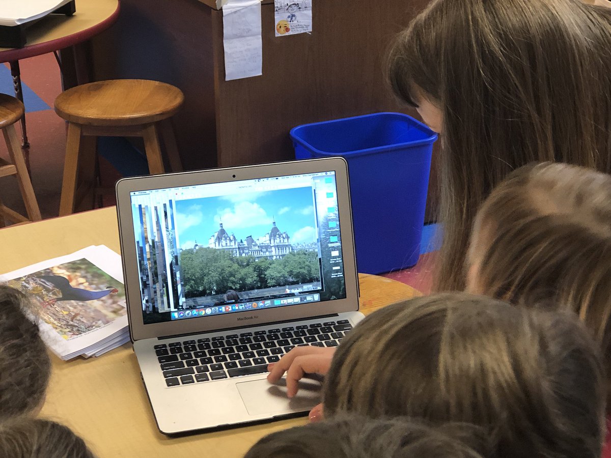 Dana Chambliss tweet media