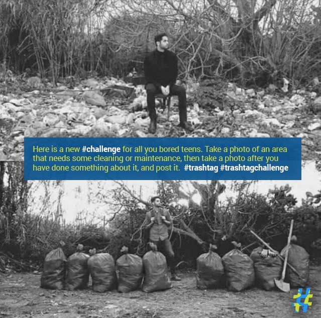 Temu Canada tweet media