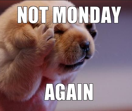 ZnergyI's tweet photo. And, just like that, Monday has returned! The weekends will never be long enough...
Lets start this week off right with your call to Znergy to get your free audit and free quote for your LED conversion! https://t.co/TInkmxI53j