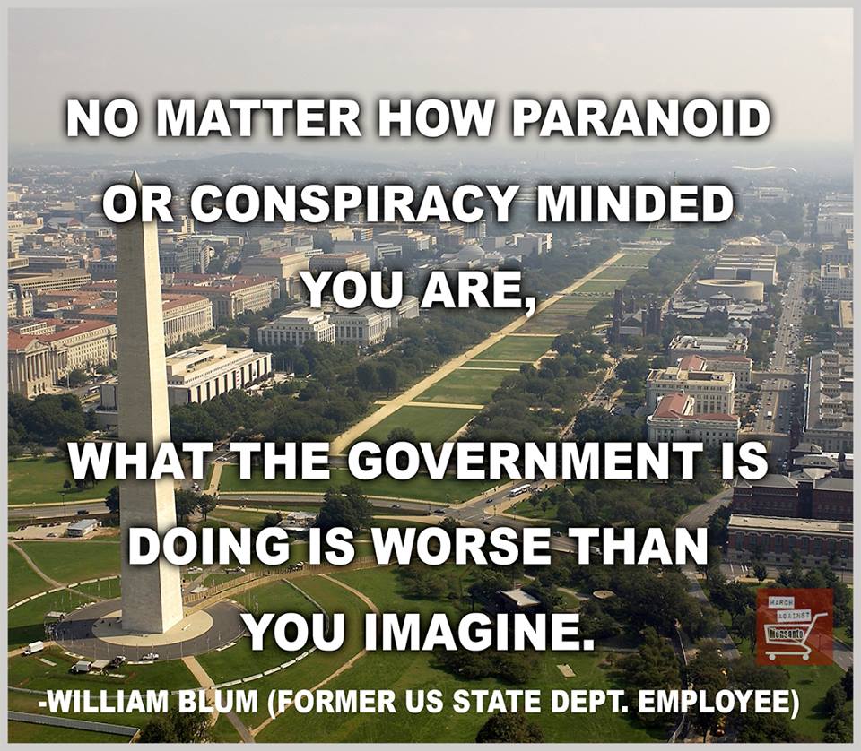 Branches of government. Legislative executive and judicial. Local government usa. What governments are doing. The executive branch of the government доклад.