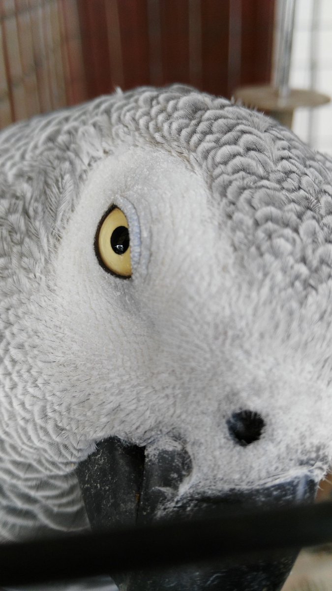 cnelson1884's tweet image. 