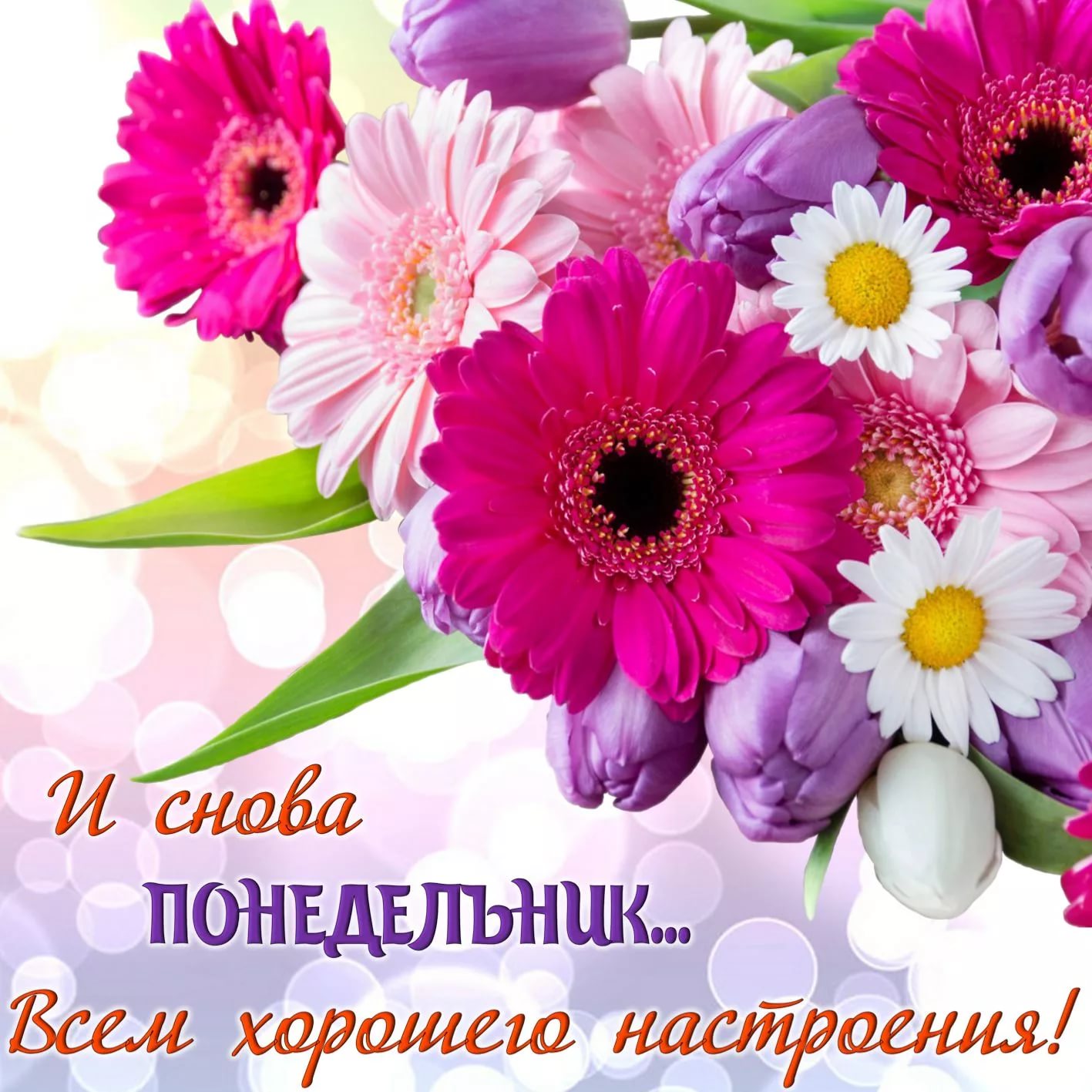 Днем рождения, снова понедельник картинки красивые