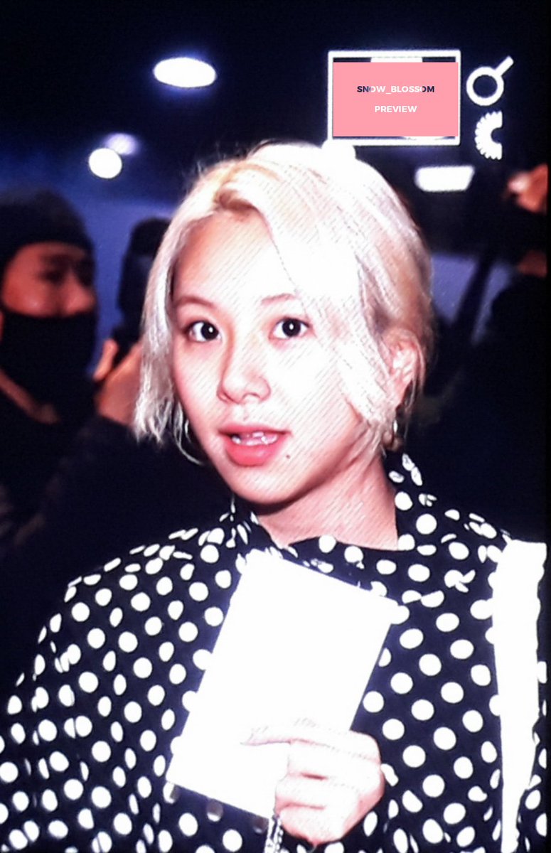 ❄️눈위의 벚꽃🌸 tweet media