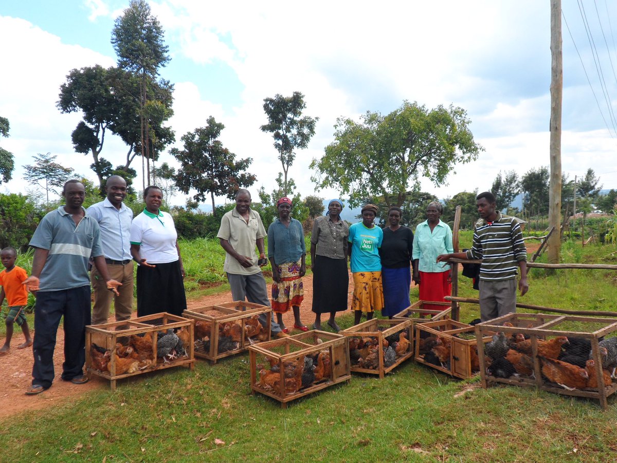WashFellowship's tweet photo. This week, we are highlighting
 #YALI2014 #MandelaFellows in #agriculture! @jamesmakini is co-founder and CEO of @onehencampaign in #Kenya. One Hen is an agribusiness company that trains youths and women in entrepreneurship, agribusiness, kitchen gardening, and poultry management https://t.co/HqP0SdLvIg