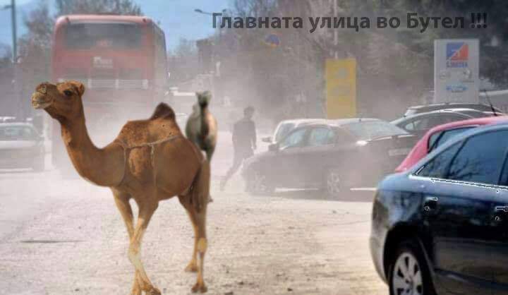 Бутел ли е Сахара ли е ?