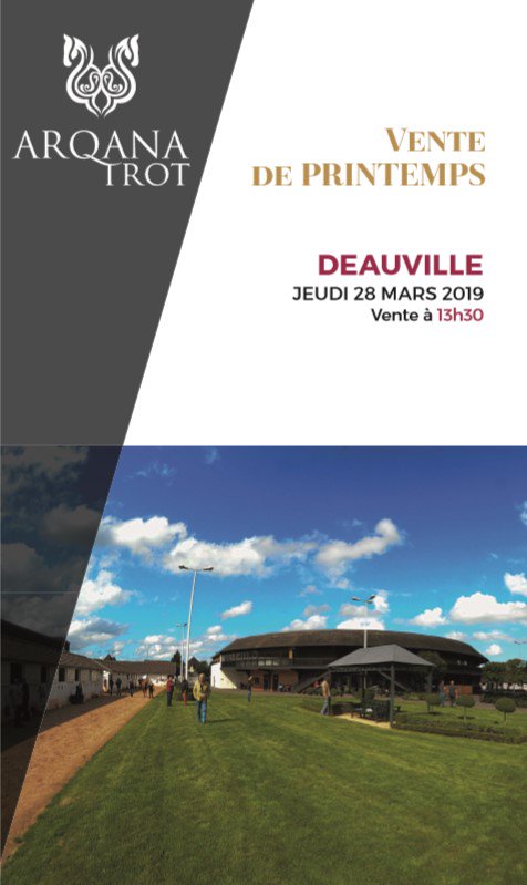vente trotteur deauville