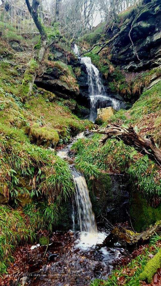 alnwickgazette's tweet photo. VIEW OF #NORTHUMBERLAND: The power of Mother Nature. #Edlingham Linn by Derek Taylor. @NorthEastTweets @NEFollowers @VisitNland #Buyapaper https://t.co/2DPEvjY8mn