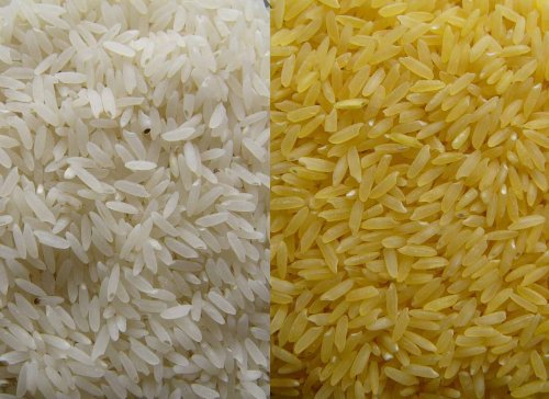 Arroz geneticamente modificado com pró vitamina A vai começar a ser produzido no #Bangladesh, onde milhares de crianças morrem por carência de vitamina A. visao.sapo.pt/actualidade/mu… …
#arrozdourado
#OGM
#transgénicos
#arroz
#vitaminaA
#cegueirainfantil