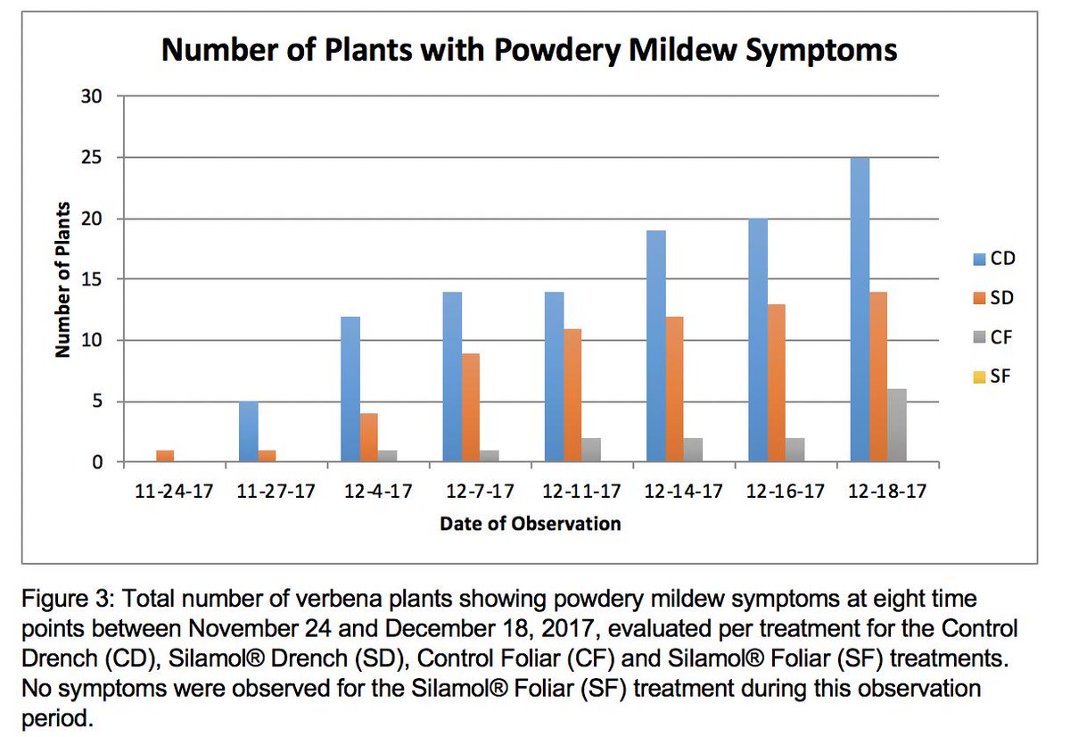 Research group <a href="/niagaracollege/">Niagara College</a> shows #silicon product effective again #powdery #mildew in #verbena. 
#greenhouse #horticulture #IPM #silamol <a href="/grobark/">Gro-Bark</a>
greenhousecanada.com/inputs/crop-pr…