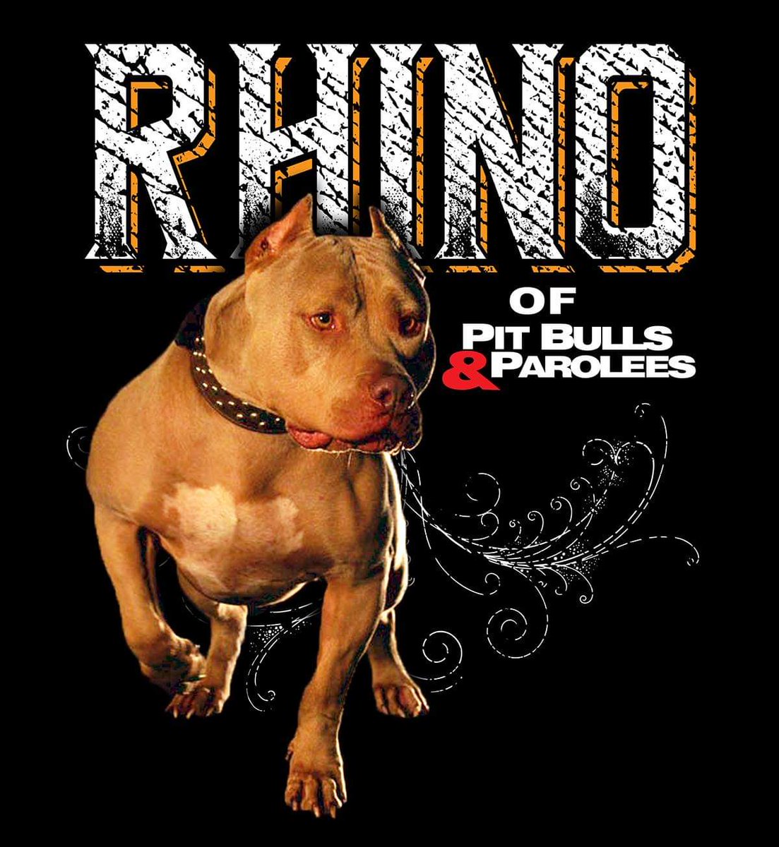 ¡Cuidado! 12+ Hechos ocultos sobre Where Are The Parolees From Pit Bulls And Parolees? The series, which follows the country’s largest pit bull rescue, moves to discovery channel after spending several years on animal planet. ¡Cuidado! 12+ Hechos ocultos sobre Where Are The Parolees From Pit Bulls And Parolees? The series, which follows the country’s largest pit bull rescue, moves to discovery channel after spending several years on animal planet.