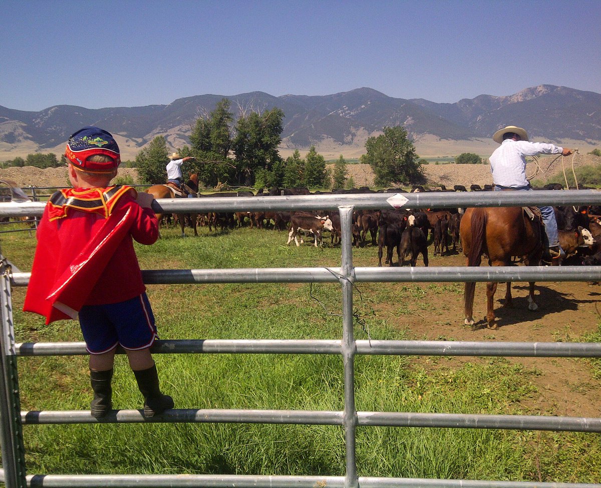 We think ranchers are superheroes, too. 🦸‍♀️🐂 #cowsnotcondos #mtcrushmonday