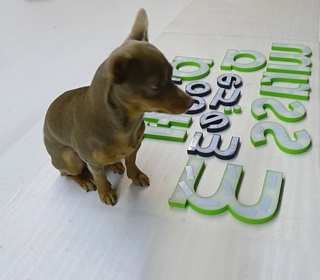 artsigns's tweet image. Security Worker at #artsigns