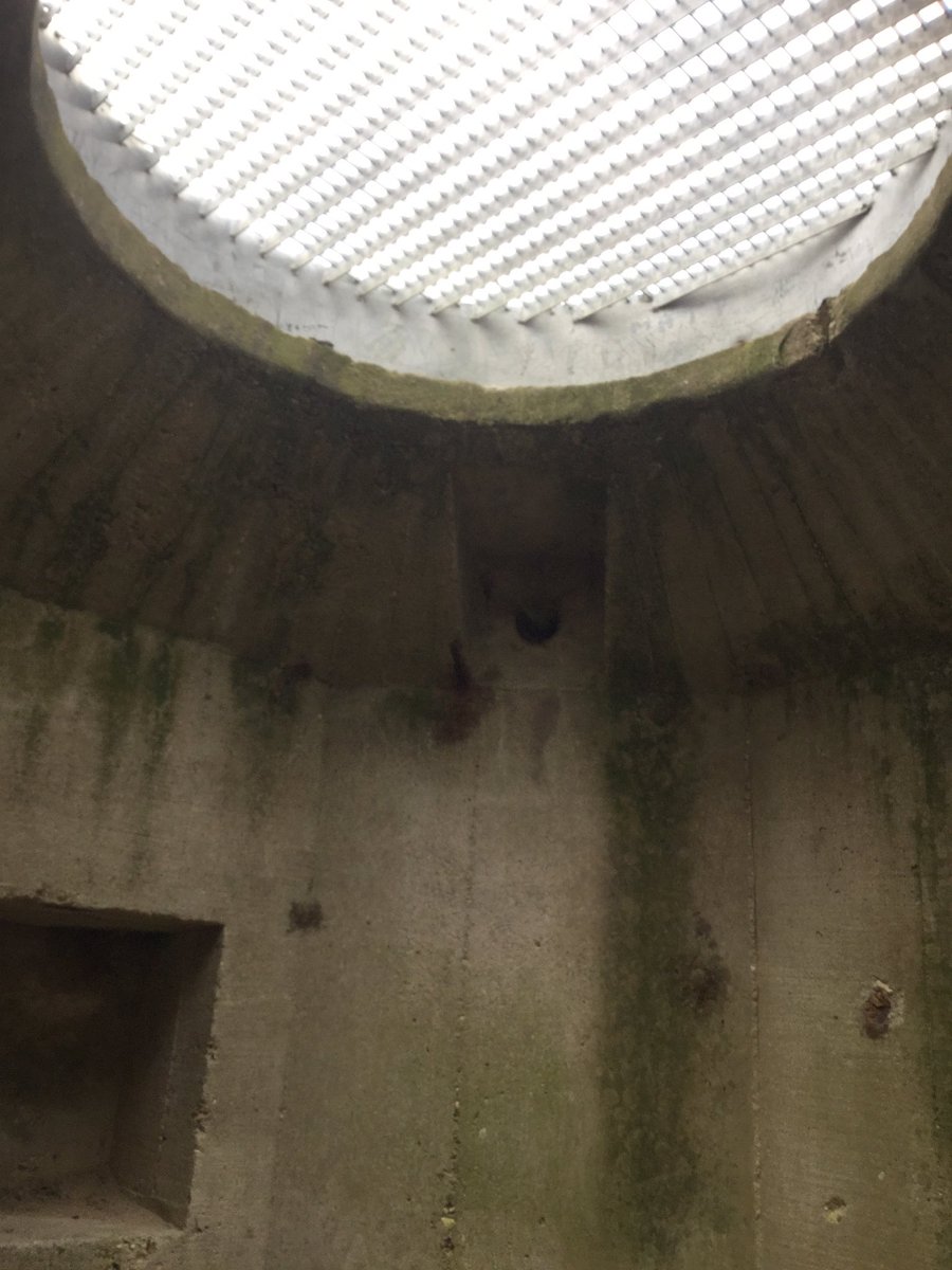 BAtrips's tweet photo. We went into the bunkers for shelter. https://t.co/nYqGUn5TnA