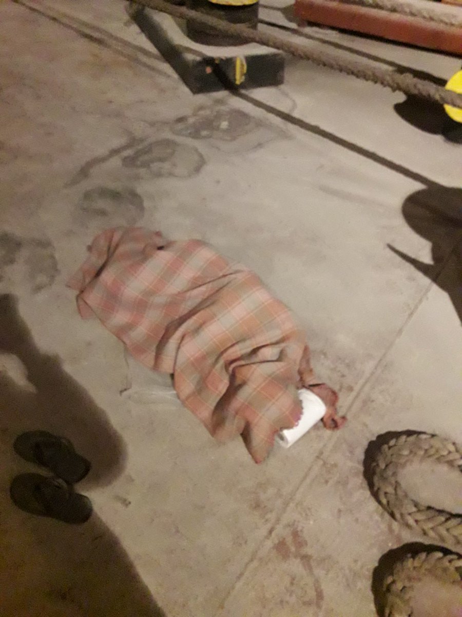 Личинка индуса