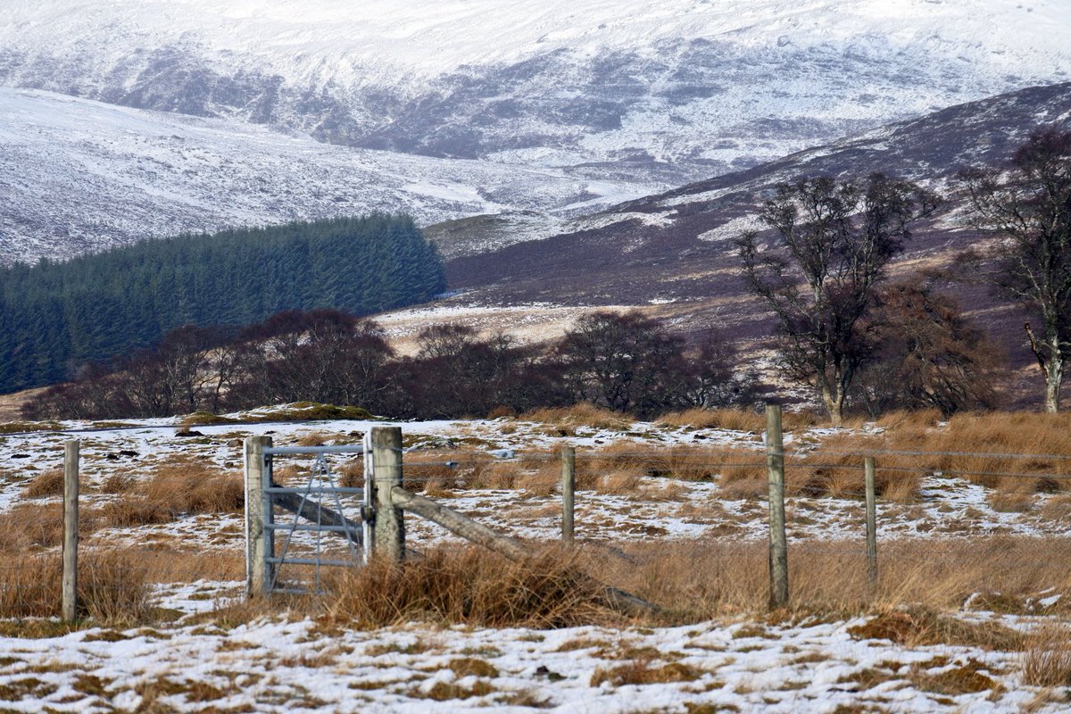 preslavag's tweet photo. Newtonmore, Scotland ๐ด๓ ง๓ ข๓ ณ๓ ฃ๓ ด๓ ฟ #ExploreScotland #TrueHighlands #LoveWilderness #TweetToScotland #PhotoOfTheDay #TwitterNature https://t.co/fZ1j3Wnrcd