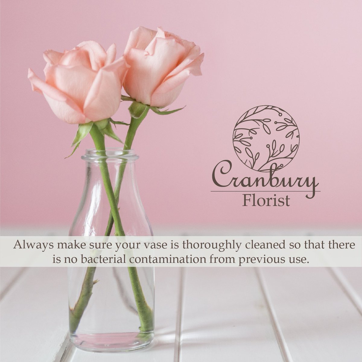 Try out this tip! #flowers #Flowersofinstagram #flowerstalking #flowerslovers #flowershop #flower #flowerbouquet #flowerlove #floweroftheday #flowerarrangement #flowergram #flowerstagram #flower_daily #flowerpower #flowery #flower_special_ #flowerbox #flowermagic #flowerlover