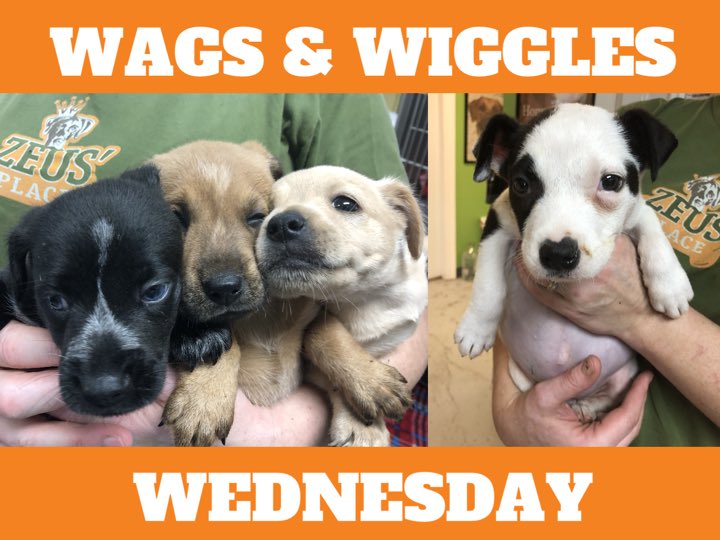 Zeus Place On Twitter Wednesday Join Us At Our Downtown