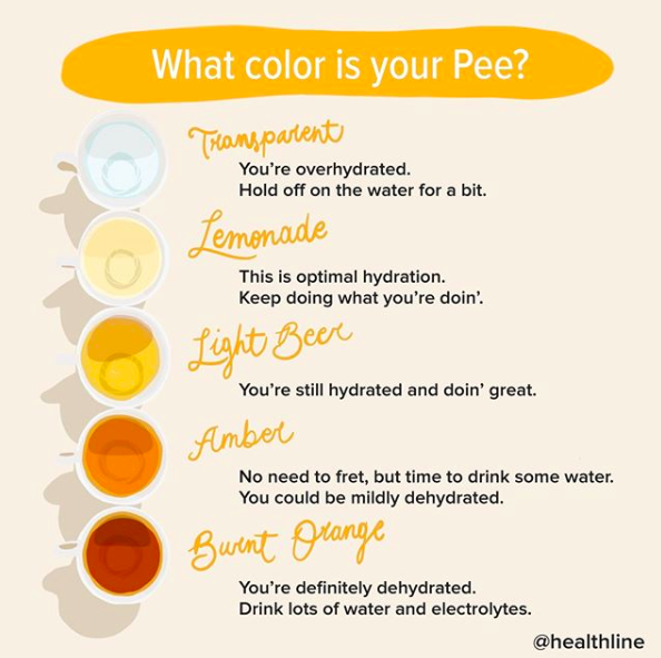 Healthline on Twitter "Not sure if your pee is the right color? Urine
