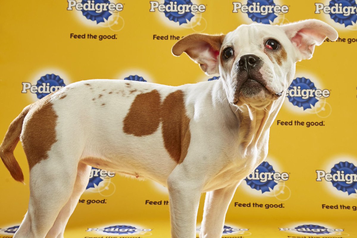 Beth Long tweet media