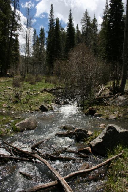 RobViehl's tweet photo. @CWCB_DNR just received a decree this morning in Water Division 4 for an instream flow (ISF) water right on Dutchman Creek. Thank you @HCCACB &amp; @wradv for your work on this ISF recommendation, which will help protect brook trout habitat and the riparian plant community. https://t.co/uA2tECXo2J