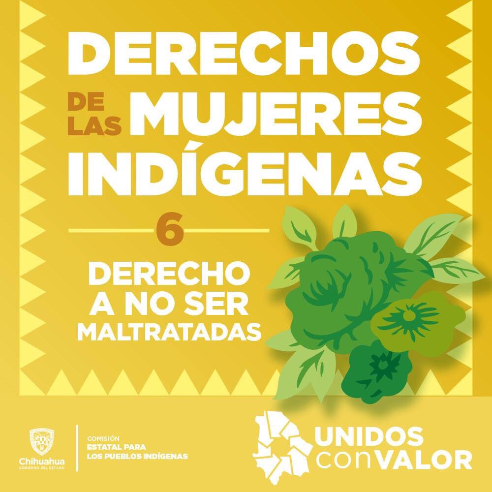 Secretaría de Pueblos y Comunidades Indígenas tweet media