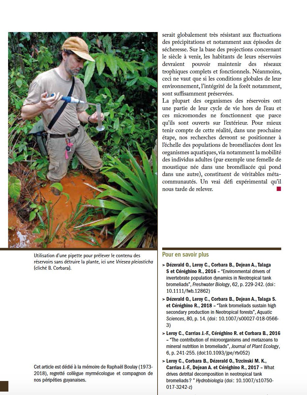 Bruno Corbara From Especes 29 Especes Revue An Article About Aquatic Life In Tank Bromeliads Available Through T Co Ovpo7r58da Ok It S In French Wait Just A Little T Co Pqjzegmmqc