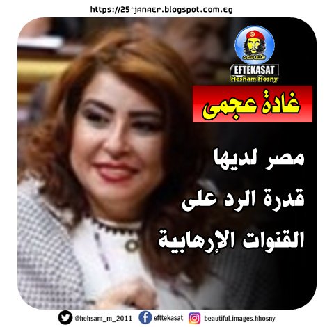 غادة عجمى مصر لديها قدرة الرد على القنوات الإرهابية