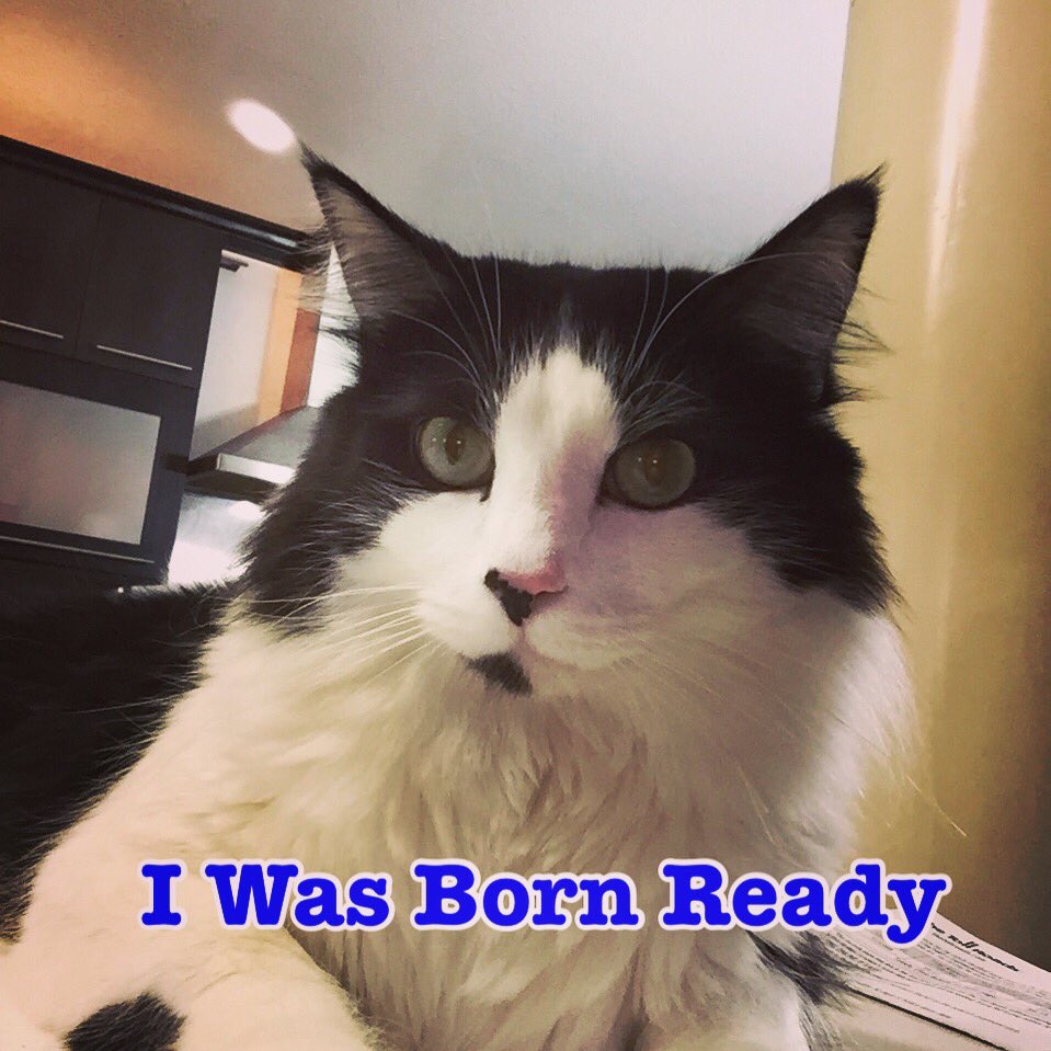 PracticalAmberN's tweet photo. Excited for a new week and the potential it holds. Happy Monday! #mondayfunday #bornready #bosslady #buildinganempire #keepitpractical #nevergonnastop https://t.co/nDBQWggLQs