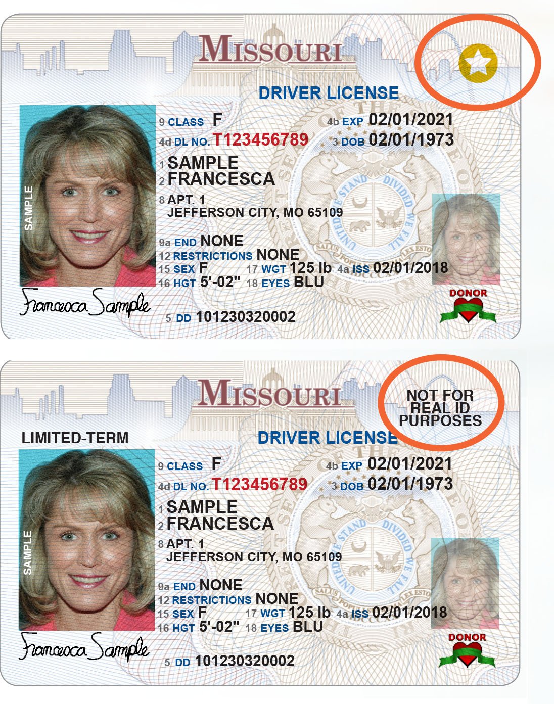 Missouri Drivers License Restriction Codes Missouri Drivers License Restriction Codes