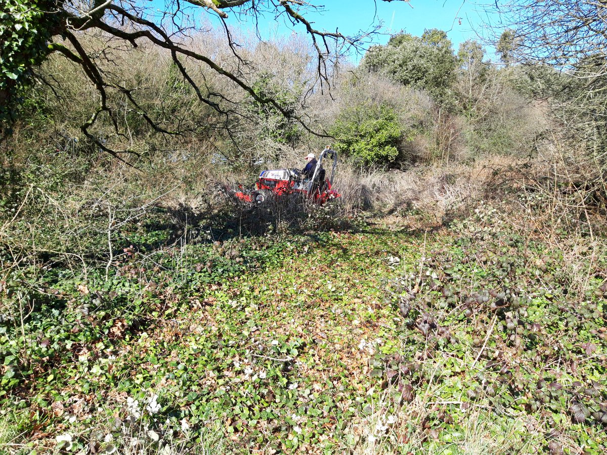 Rob Dyer tweet media