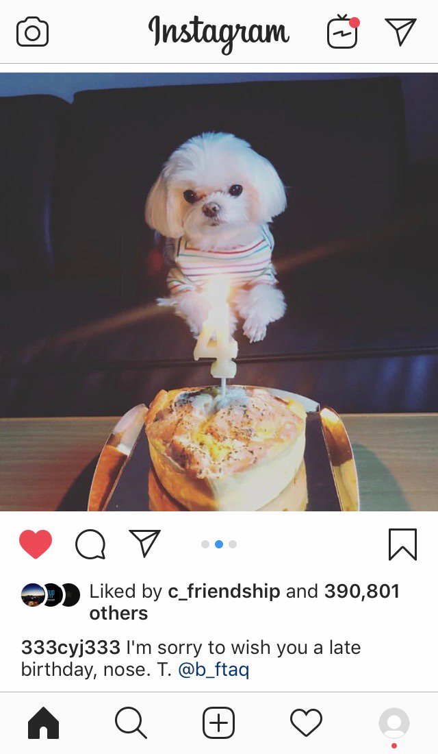 2JaeFan's tweet photo. Queen Coco is soooo cute. 😍 I don't trust the translation though. 😂
[src: 333CYJ333 IG update] 
#QueenCocoDay #YoungJae 
#GOT7 #갓세븐 @GOT7Official https://t.co/msAObUIGXl