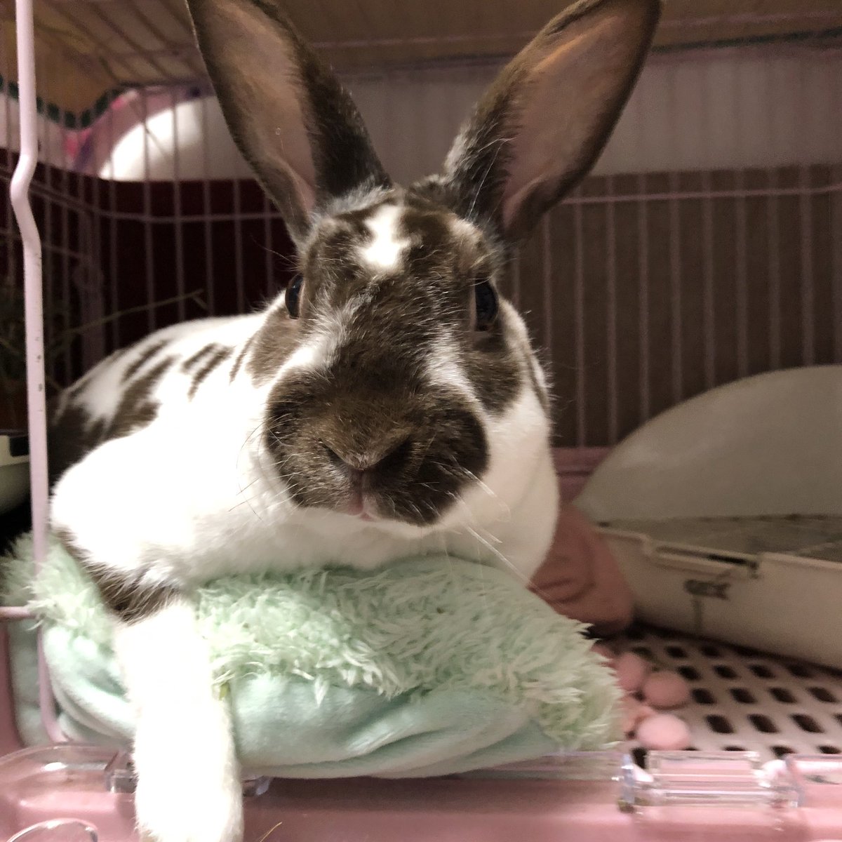 さみぃ。花粉もすごい