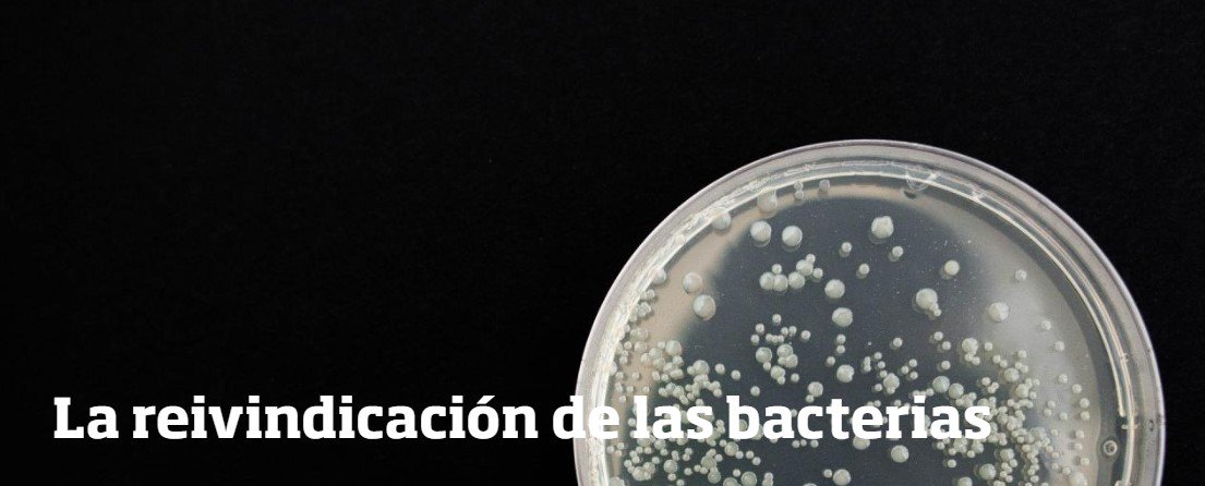Secihti_Mx's tweet photo. #Efeméride I En el marco de la celebración del nacimiento de Alexander Fleming, quien descubrió la penicilina, en este texto de Ciencia y Desarrollo, los autores abogan por la reivindicación de las bacterias: ➡️https://t.co/HJEs67EOAJ #CienciaYDesarrollo https://t.co/DkyrJNBmKP