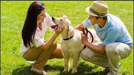 - Qué bonito, como se llama?

+ Egor Sin Mortero

- Puedo acariciarlo?

+ Sí, tranqui, no hace nada