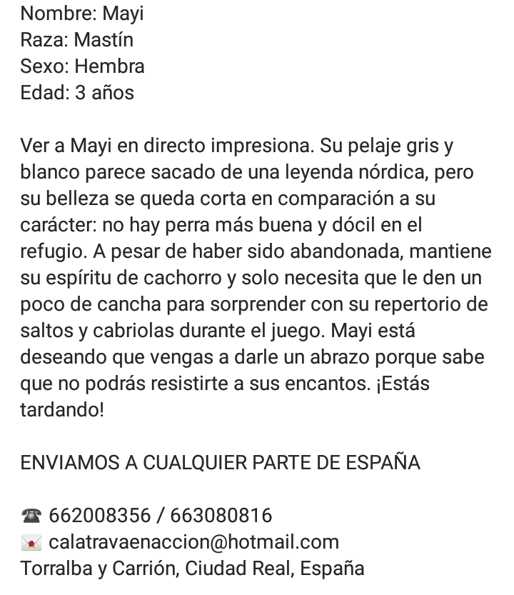Calatrava en Acción tweet media