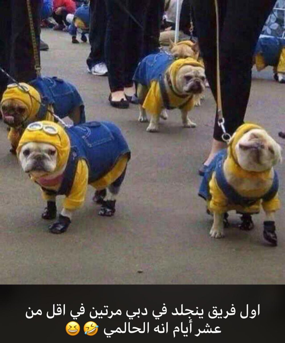 faiz511_'s tweet photo. #النصر_ذوب_اهن
اقصر قصة لوضيع اسيا ،،
 فاز الوصل ع القواطي وترتيبة بالدوري الإماراتي العاشر ، وع فكره الوصل لقم اليوم ٥ من الزوراء العراقي.
و اليوم فاز ذوب اهن الإيراني وترتيبه ١٣ بالدوري الايراني. https://t.co/nQ4A0xSgXx