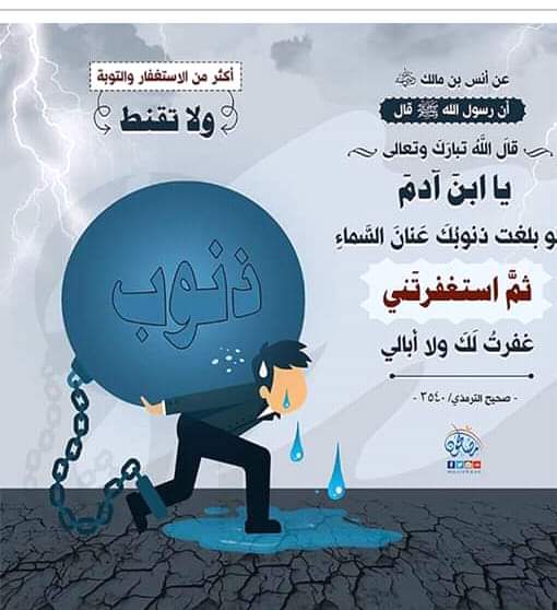 z z (@zeravan04785479) on Twitter photo 