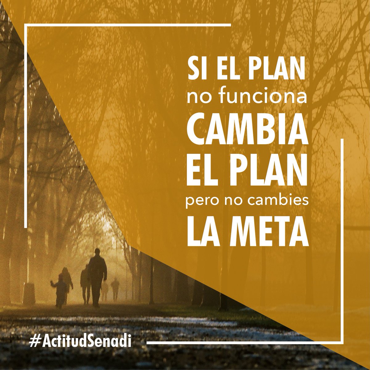SenadiMx's tweet photo. #ActitudSenadi: Si el plan no funciona cambia el plan, pero no cambies la meta. ¡No te rindas! #FelizLunes | #SenadiMx 

#YoControloMiDiabetes #wellness #ánimo #vidasana #diabetes https://t.co/HFLWEcRBha